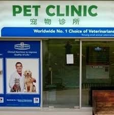 Pet Clinic